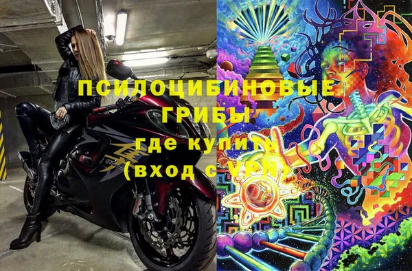 молекула духа Мегион