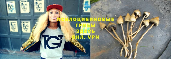 альфа пвп Армянск